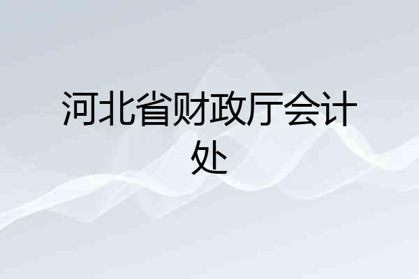 河北省财政厅会计处