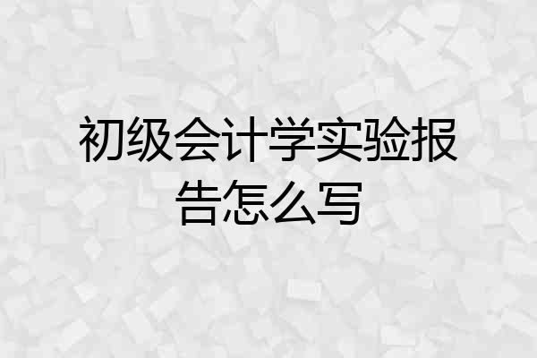 初级会计学实验报告怎么写