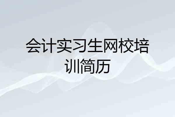 会计实习生网校培训简历
