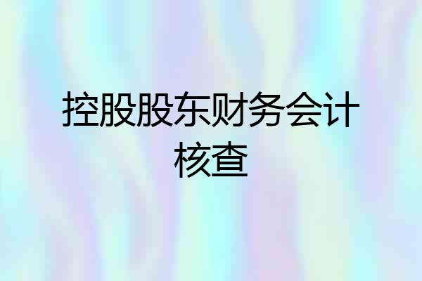 控股股东财务会计核查