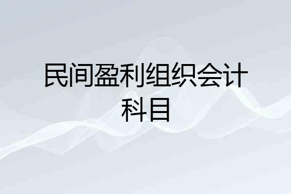 民间盈利组织会计科目