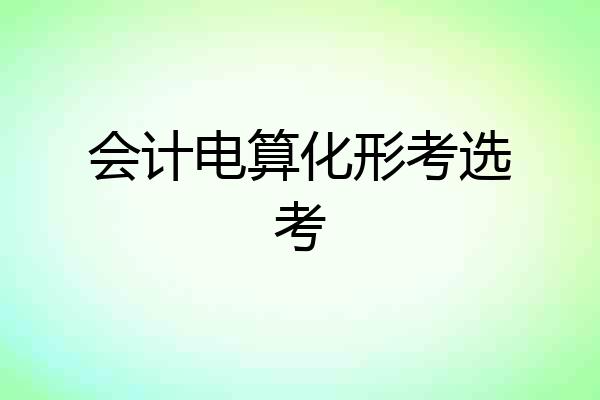 会计电算化形考选考