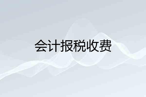 会计报税收费