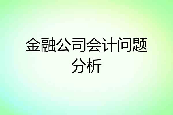 金融公司会计问题分析