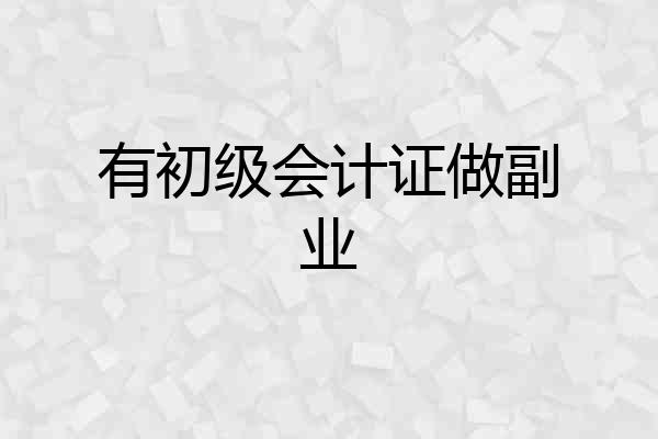 有初级会计证做副业