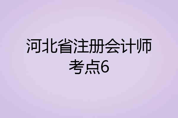 河北省注册会计师考点6