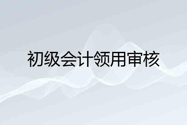 初级会计领用审核