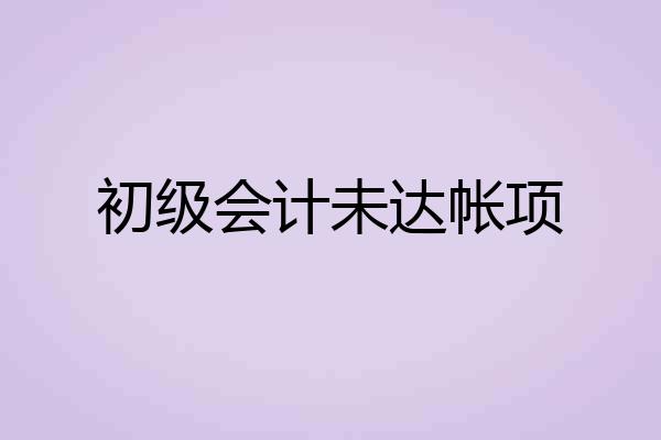 初级会计未达帐项