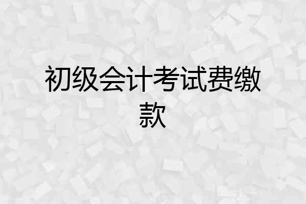 初级会计考试费缴款