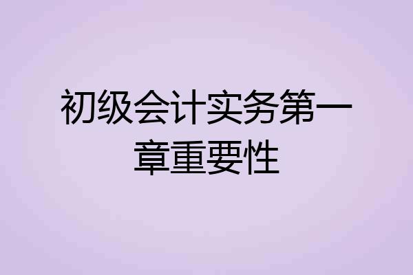 初级会计实务第一章重要性