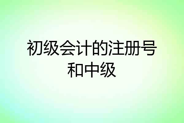 初级会计的注册号和中级