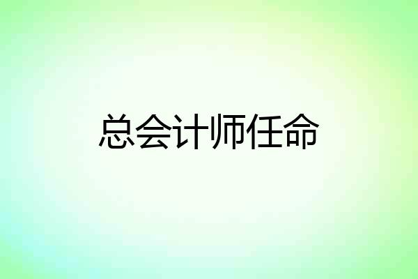 总会计师任命
