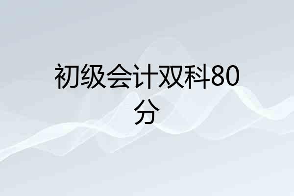 初级会计双科80分