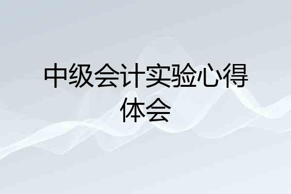 中级会计实验心得体会