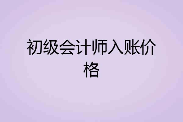 初级会计师入账价格