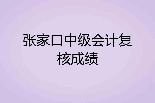张家口中级会计复核成绩