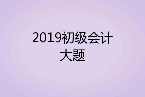 2019初级会计大题