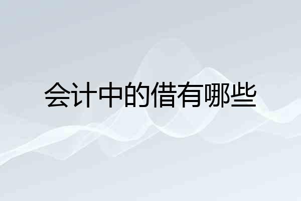 会计中的借有哪些