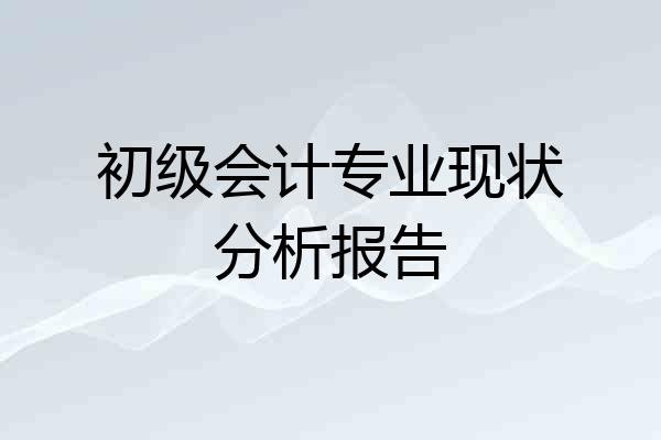 初级会计专业现状分析报告