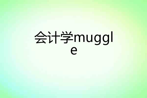 会计学muggle