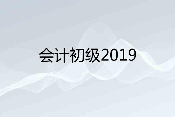 会计初级2019