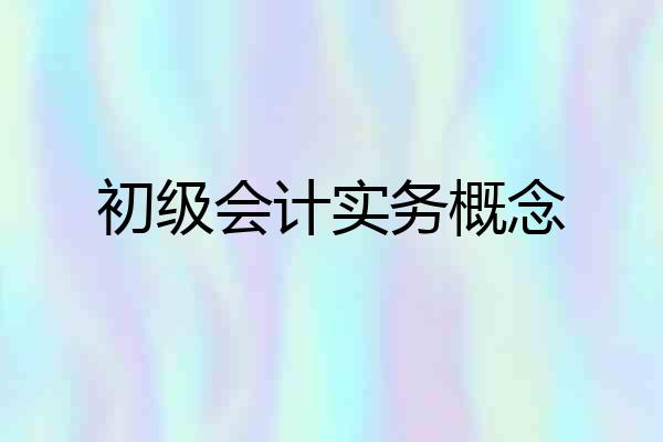 初级会计实务概念
