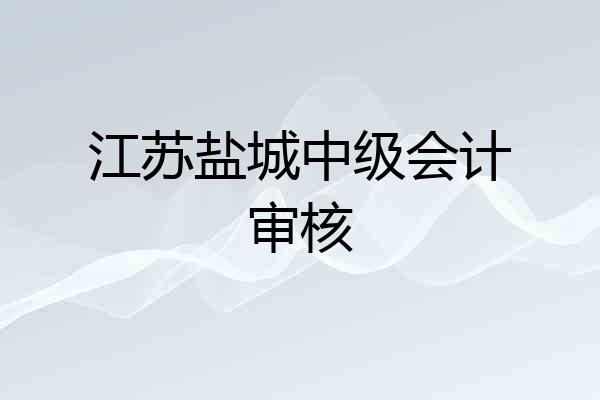 江苏盐城中级会计审核