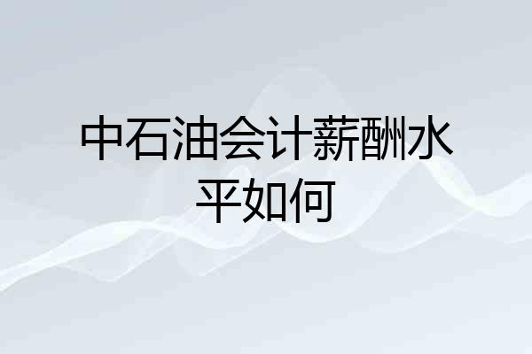中石油会计薪酬水平如何