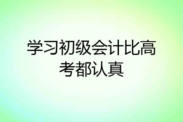 学习初级会计比高考都认真