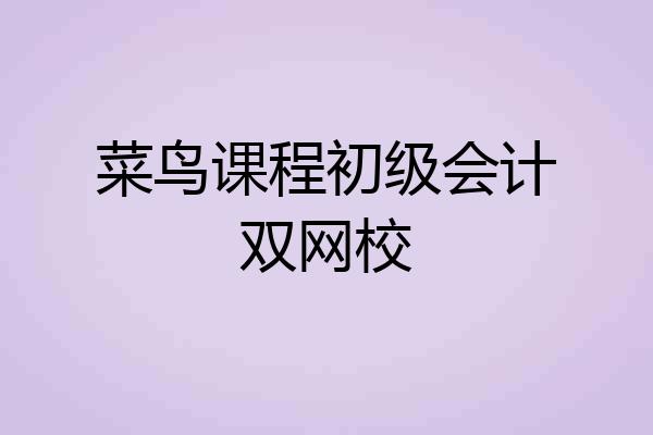 菜鸟课程初级会计双网校