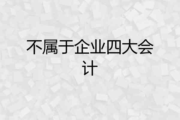 不属于企业四大会计