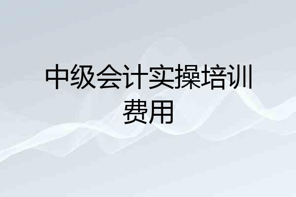 中级会计实操培训费用