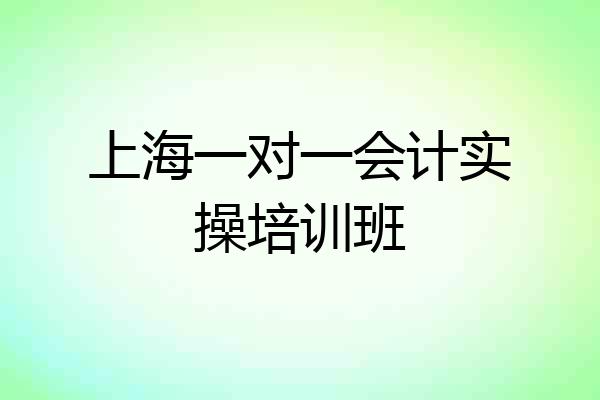 上海一对一会计实操培训班