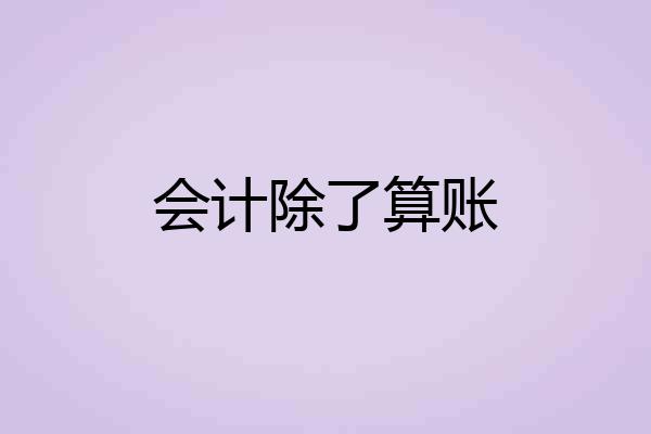 会计除了算账