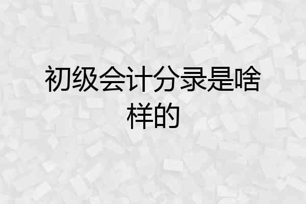 初级会计分录是啥样的