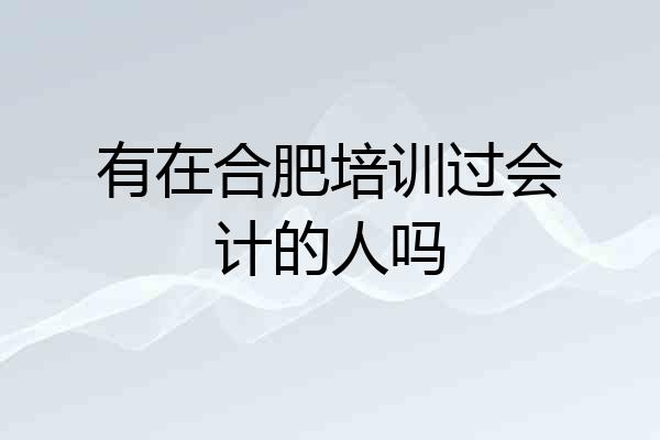 有在合肥培训过会计的人吗