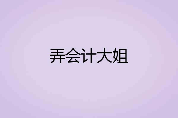弄会计大姐
