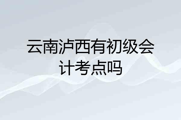 云南泸西有初级会计考点吗