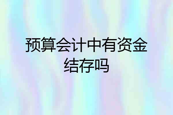 预算会计中有资金结存吗