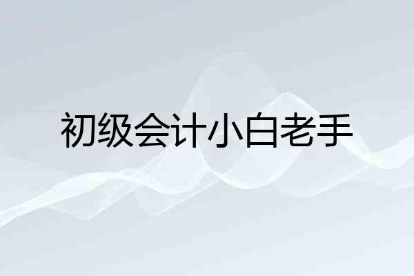 初级会计小白老手