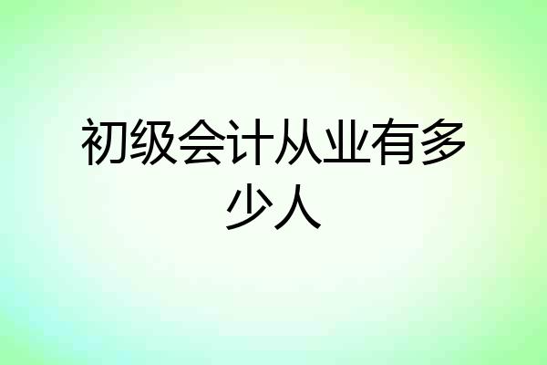 初级会计从业有多少人