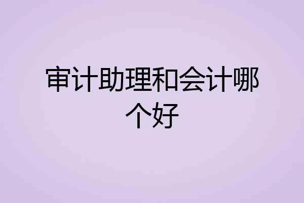 审计助理和会计哪个好