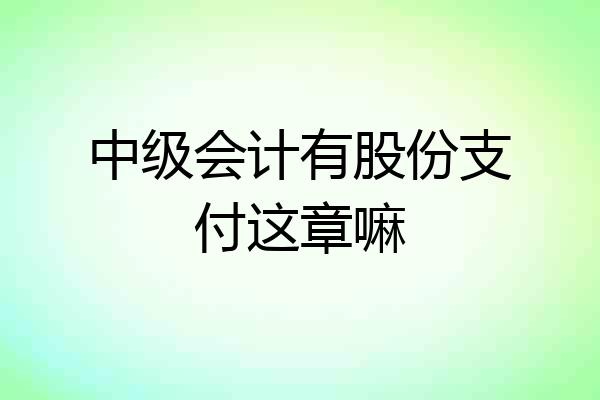 中级会计有股份支付这章嘛