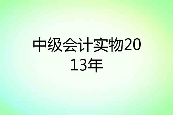 中级会计实物2013年