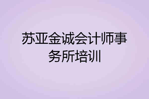 苏亚金诚会计师事务所培训