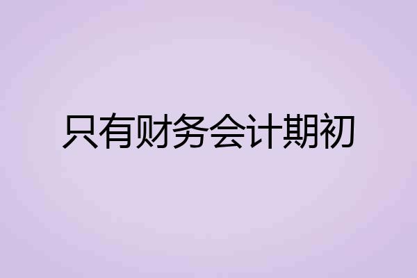 只有财务会计期初