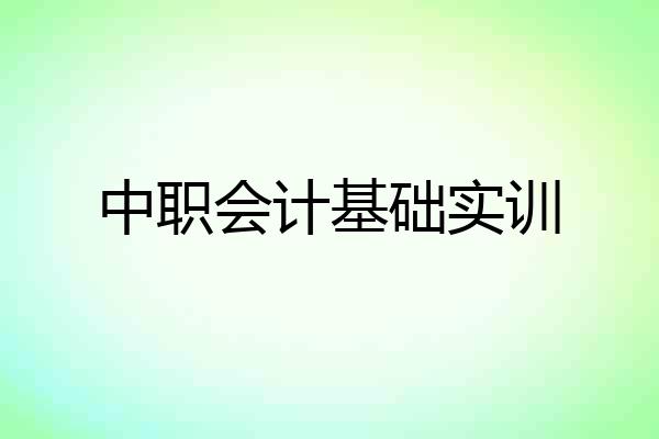 中职会计基础实训