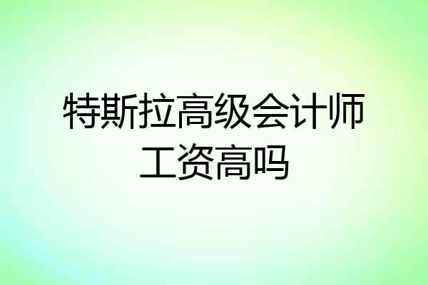 特斯拉高级会计师工资高吗
