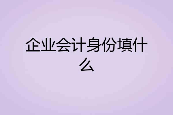企业会计身份填什么