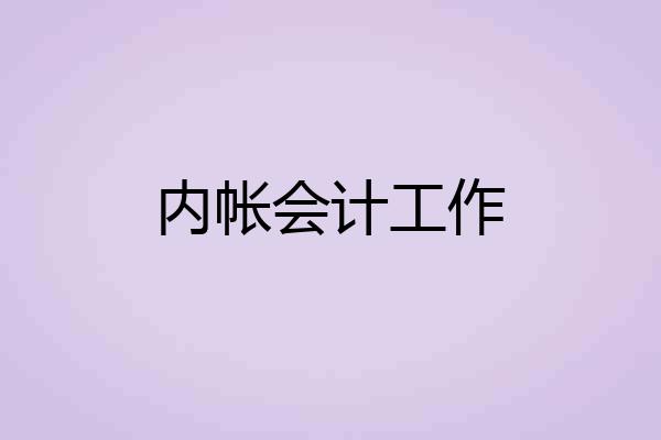 内帐会计工作
